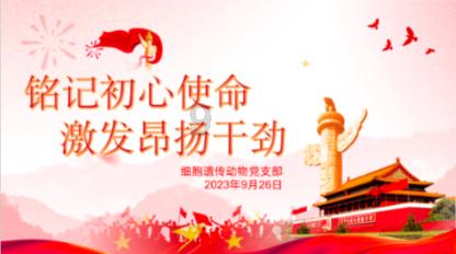 格斗巅峰大作战